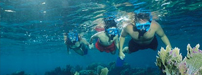 Image of BAVARO, PUNTA CANA